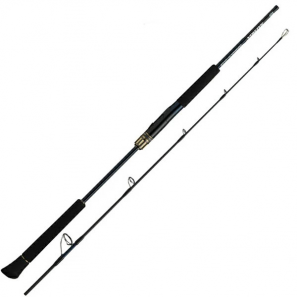 DAIWA 25 SALTIGA J EXPEDITION