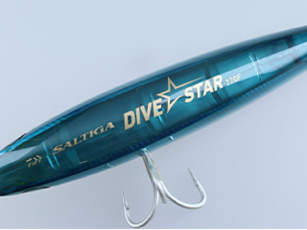 Divestar_shape_1.jpg